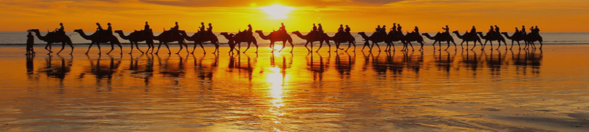 Camel caravan crossing the desert at sunset